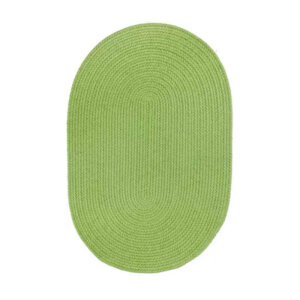 Rhody Key Lime Braided Area Rug