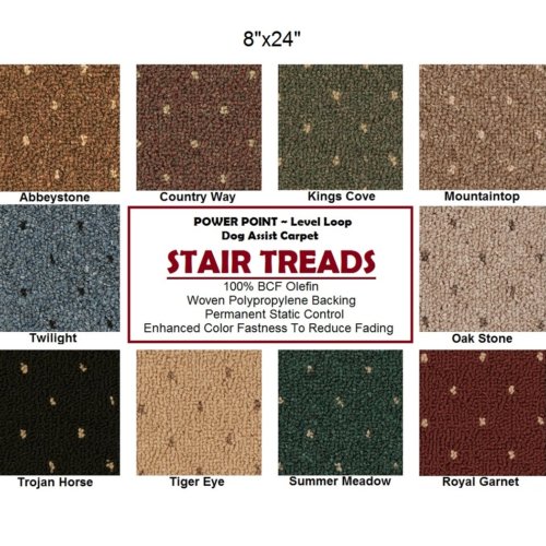 Power Point DOG ASSIST Carpet Stair Treads