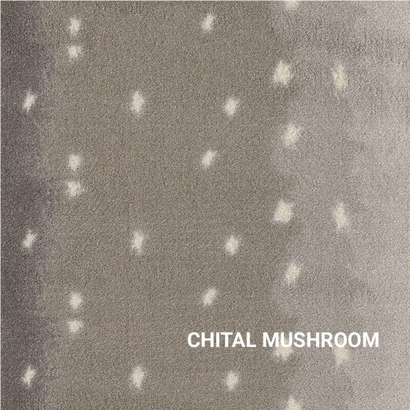 Mushroom Milliken Chital Exotic Escape