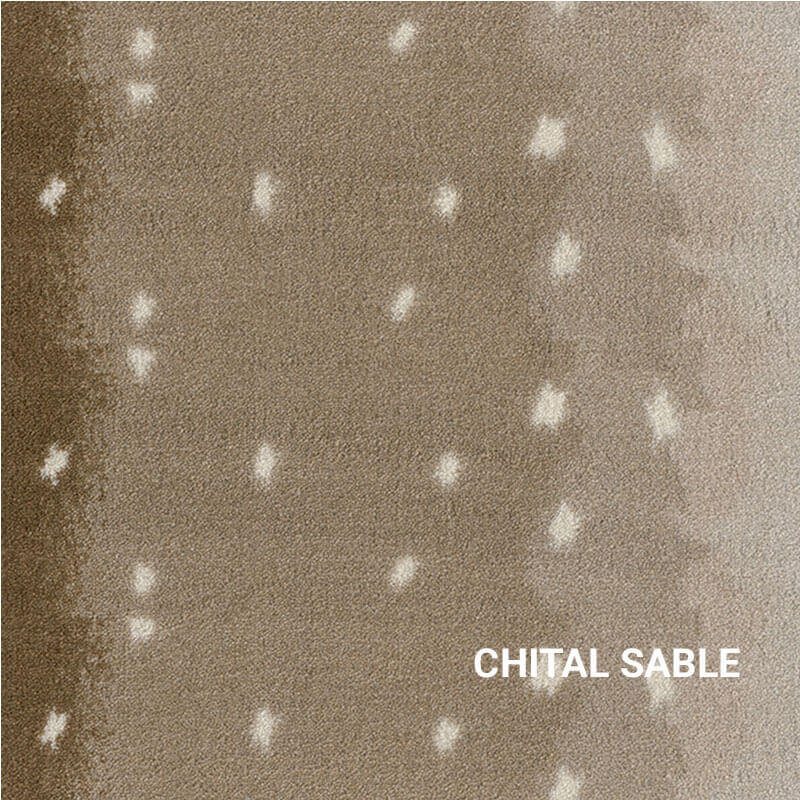 Sable Milliken Chital Exotic Escape