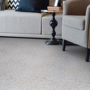 Carolina Shag Indoor Area Rug Collection - Room