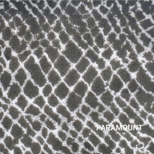 Paramount Accomplishment Abstract Area Rug