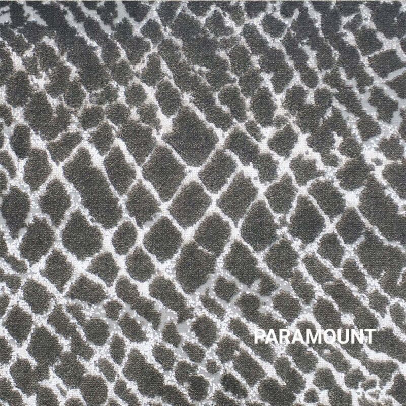 Paramount Accomplishment Abstract Area Rug