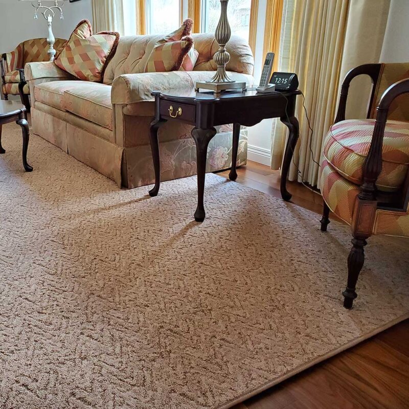 Lavish Indoor Area Rug Collection - Room 2