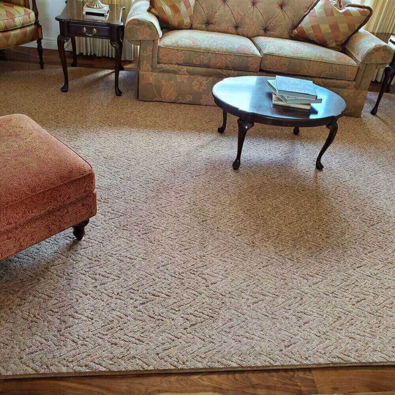 Lavish Indoor Area Rug Collection - Room 3