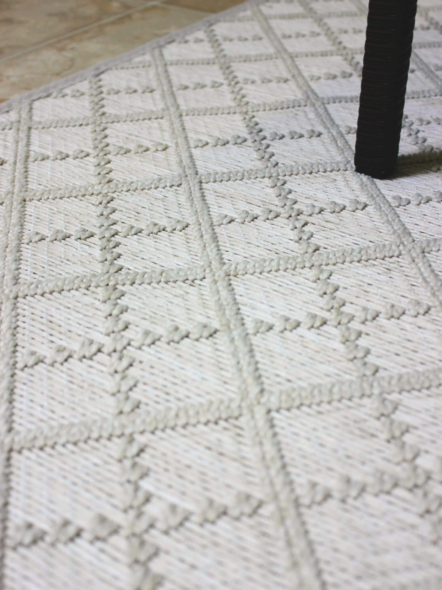 sea Bright Sand Dollar